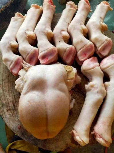 CHÂN DÊ - HẾT LO THIẾU SỮA CHO BÉ