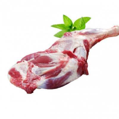 ĐÙI CỪU ÚC CÓ XƯƠNG