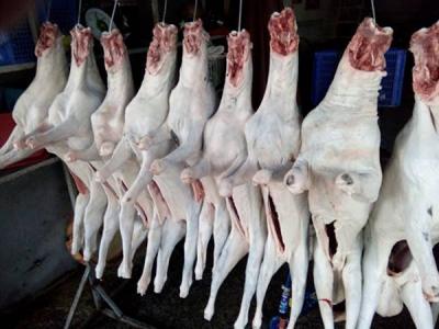 Giá bán thịt dê tươi hôm nay