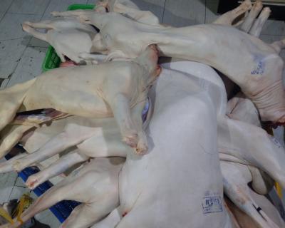 Thịt dê tươi mua ở đâu ngon và chất lượng